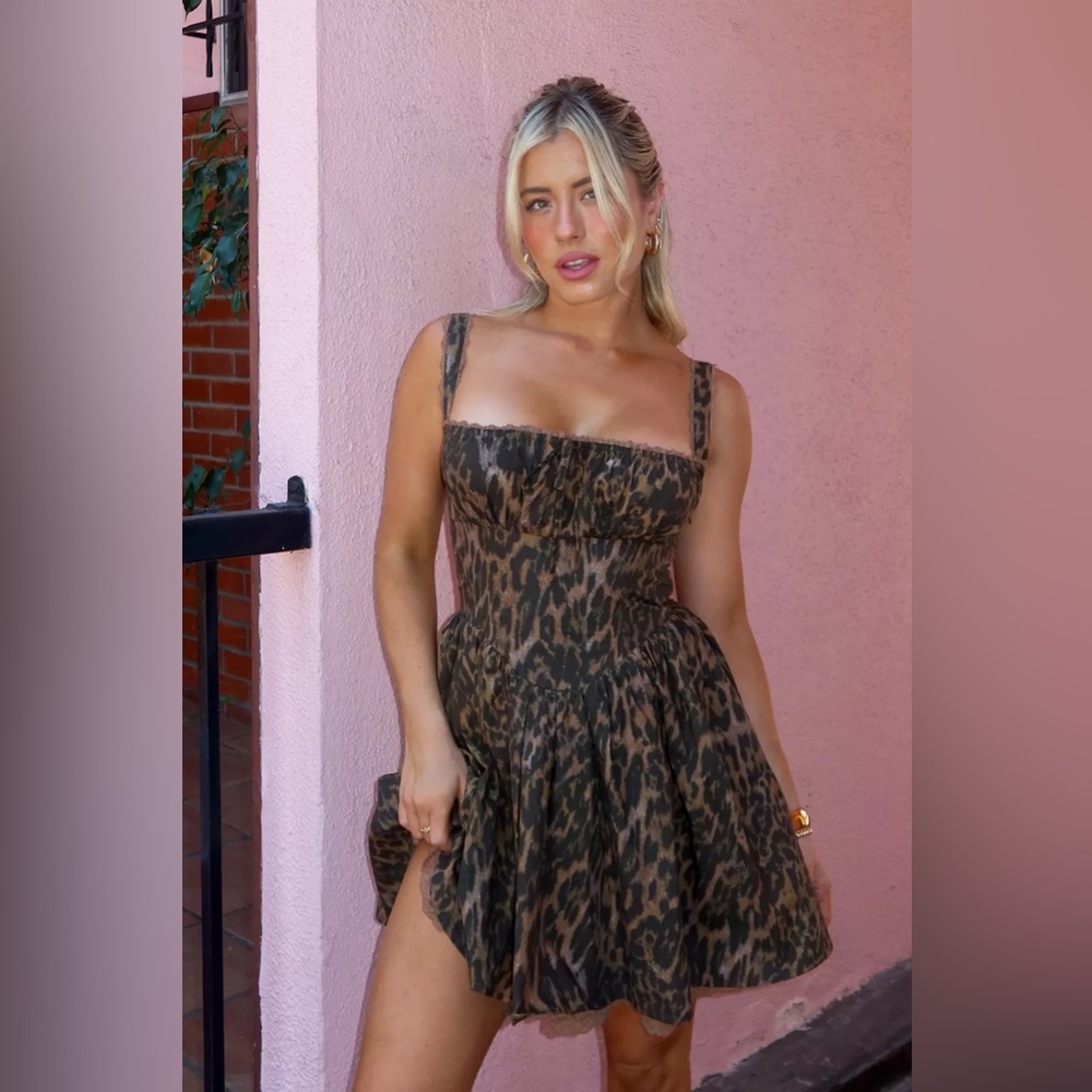 Leopard Corset Lace Trim Skater Mini Dress